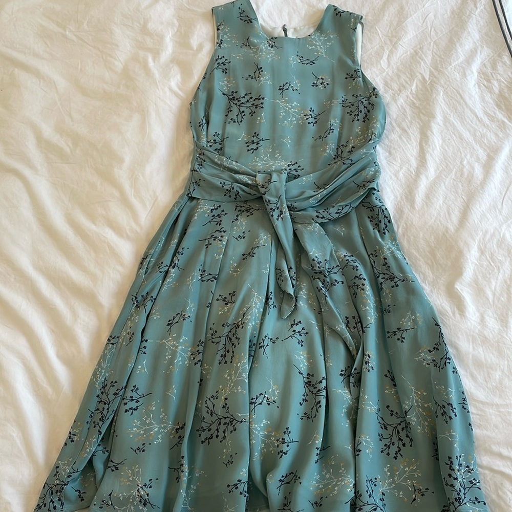 Amour Vert silk dress.